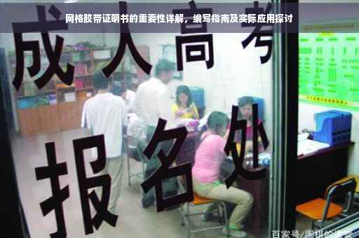 网格胶带证明书的重要性详解，编写指南及实际应用探讨