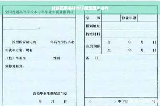 付款证明书样本详解及图片参考