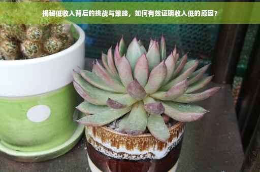 揭秘低收入背后的挑战与策略，如何有效证明收入低的原因？