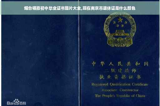 烟台栖霞初中毕业证书图片大全,现在南京市退休证是什么颜色