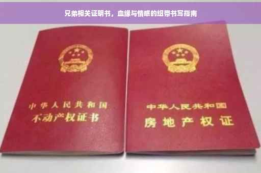 兄弟相关证明书，血缘与情感的纽带书写指南