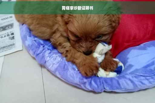 胃痉挛诊断证明书