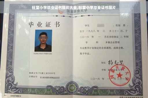 杜堂小学毕业证书图片大全,杜堂小学毕业证书图片