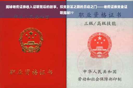 揭秘老虎证券收入证明背后的故事，投资致富之路的开启之门——老虎证券资金证明揭秘??