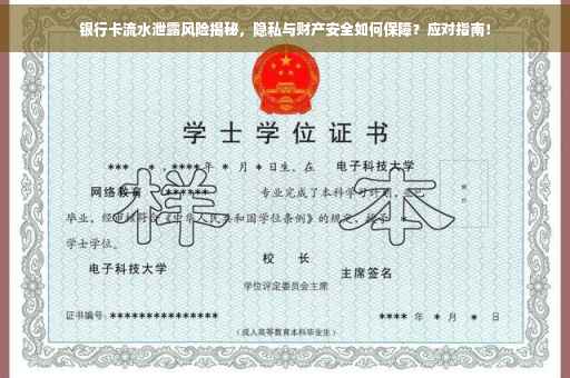 银行卡流水泄露风险揭秘，隐私与财产安全如何保障？应对指南！