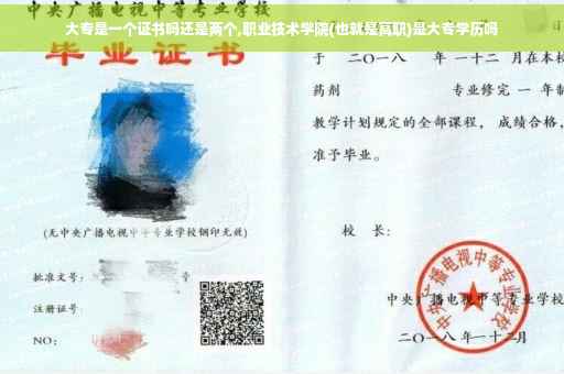 大专是一个证书吗还是两个,职业技术学院(也就是高职)是大专学历吗
