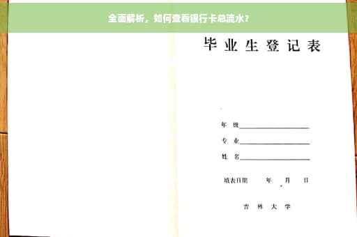 全面解析，如何查看银行卡总流水？