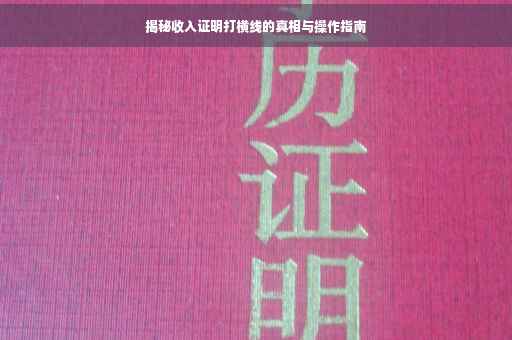 揭秘收入证明打横线的真相与操作指南