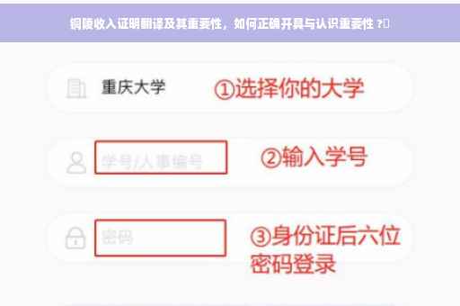 铜陵收入证明翻译及其重要性，如何正确开具与认识重要性 ?✨