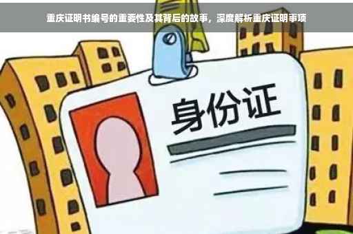 重庆证明书编号的重要性及其背后的故事，深度解析重庆证明事项