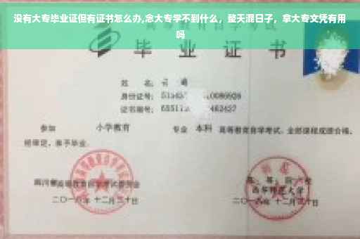 没有大专毕业证但有证书怎么办,念大专学不到什么，整天混日子，拿大专文凭有用吗