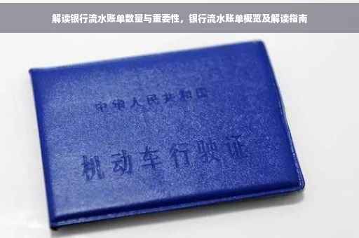 解读银行流水账单数量与重要性，银行流水账单概览及解读指南