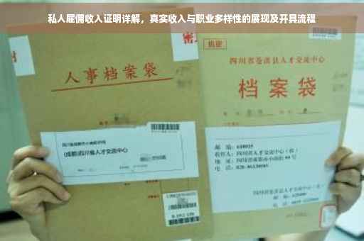 私人雇佣收入证明详解，真实收入与职业多样性的展现及开具流程