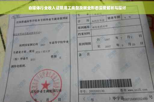 自媒体行业收入证明用工类型及就业形态深度解析与探讨