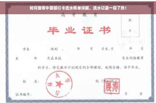如何查看中国银行卡流水账单详解，流水记录一目了然！