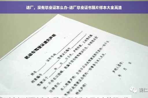 进厂，没有毕业证怎么办-进厂毕业证书图片样本大全高清