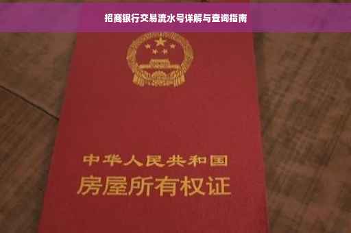 招商银行交易流水号详解与查询指南