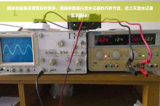 揭秘自媒体运营背后的故事，揭秘获取银行流水记录的巧妙方法，近三天流水记录需求揭秘?