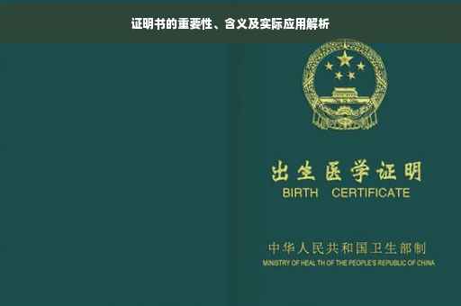 证明书的重要性、含义及实际应用解析