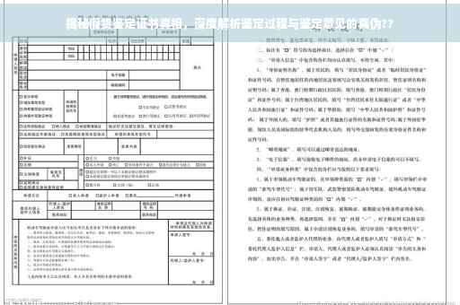 揭秘假货鉴定证书真相，深度解析鉴定过程与鉴定意见的真伪??