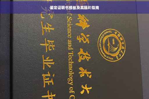 鉴定证明书模板及其图片指南