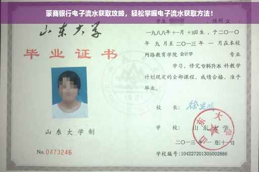 蒙商银行电子流水获取攻略，轻松掌握电子流水获取方法！