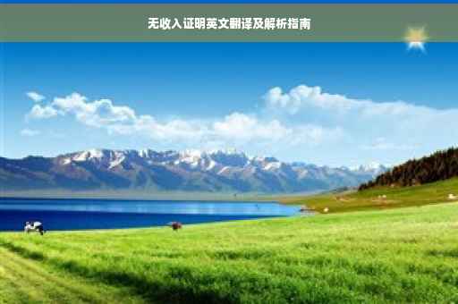 无收入证明英文翻译及解析指南