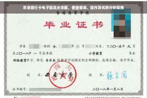 农业银行卡电子版流水详解，便捷查询、操作及优势分析指南