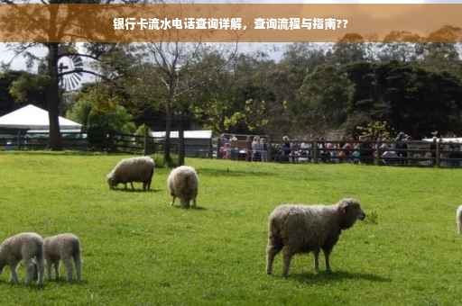 银行卡流水电话查询详解，查询流程与指南??