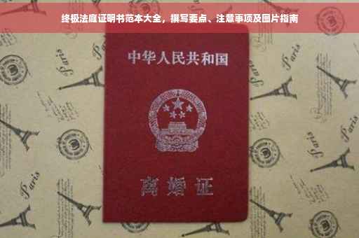 终极法庭证明书范本大全，撰写要点、注意事项及图片指南