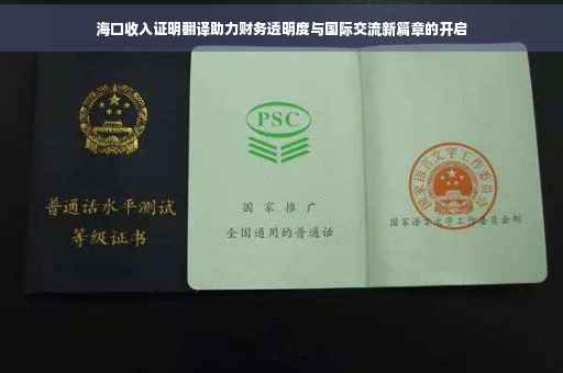 海口收入证明翻译助力财务透明度与国际交流新篇章的开启