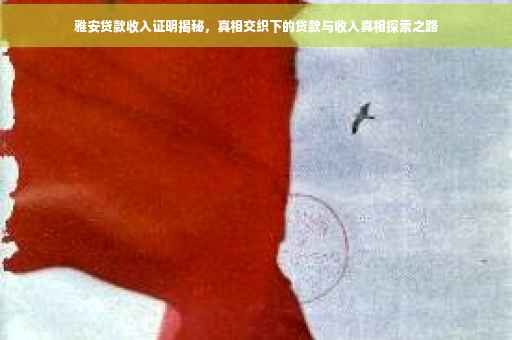 雅安贷款收入证明揭秘，真相交织下的贷款与收入真相探索之路