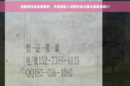 自媒体作者深度解析，开滴滴收入证明的全过程与亲身体验??