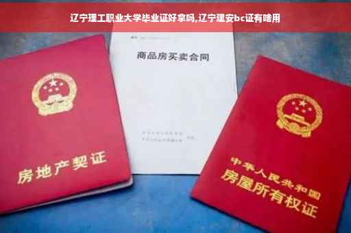 辽宁理工职业大学毕业证好拿吗,辽宁建安bc证有啥用