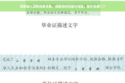 在职收入证明待遇详解，保障您的权益与待遇，撰写指南⚡️?