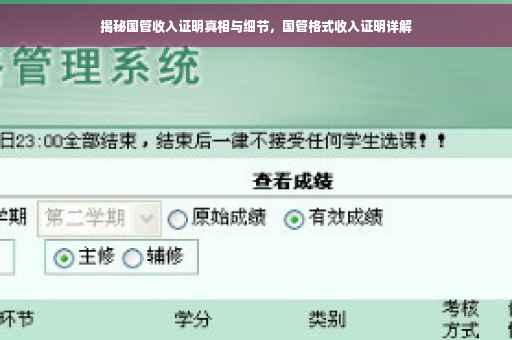 揭秘国管收入证明真相与细节，国管格式收入证明详解