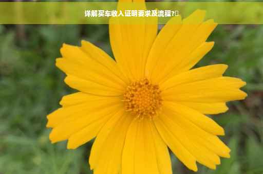 详解买车收入证明要求及流程?✨