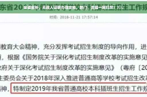 全面解析，无收入证明办理攻略，部门、流程一网打尽！?⚡️