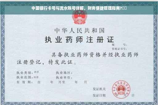 中国银行卡号与流水账号详解，财务便捷管理指南?⚡️
