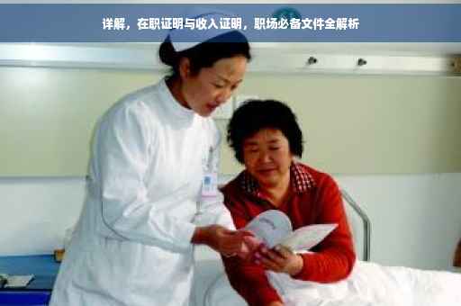 详解，在职证明与收入证明，职场必备文件全解析
