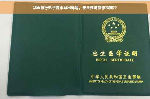 华夏银行电子流水导出详解，安全性与操作指南??