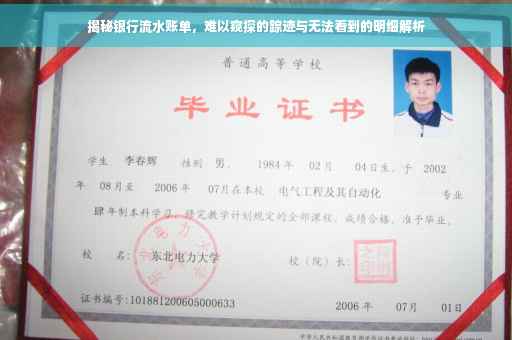 揭秘银行流水账单，难以窥探的踪迹与无法看到的明细解析