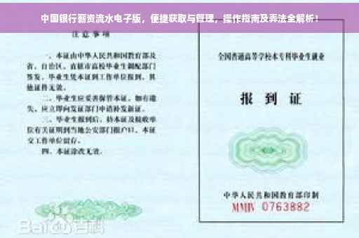 中国银行薪资流水电子版，便捷获取与管理，操作指南及弄法全解析！