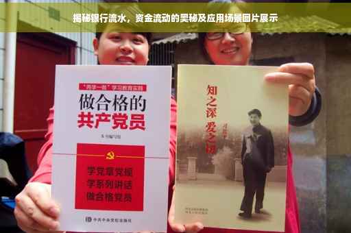 揭秘银行流水，资金流动的奥秘及应用场景图片展示