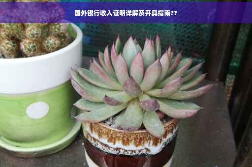 国外银行收入证明详解及开具指南??