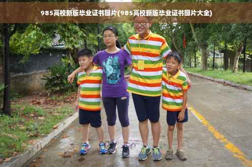 985高校新版毕业证书图片(985高校新版毕业证书图片大全)