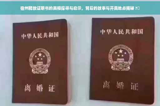 宿州释放证明书的真相探寻与启示，背后的故事与开具地点揭秘 ?✨