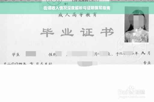 街道收入情况深度解析与证明撰写指南