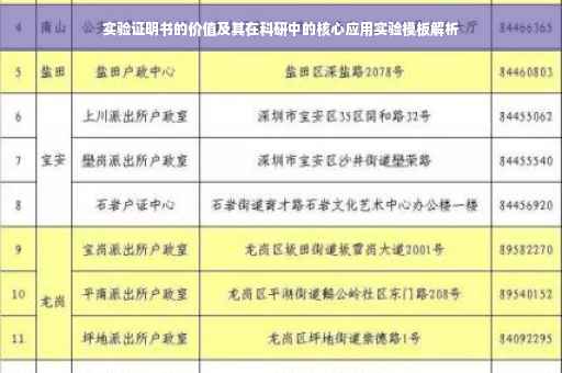 实验证明书的价值及其在科研中的核心应用实验模板解析
