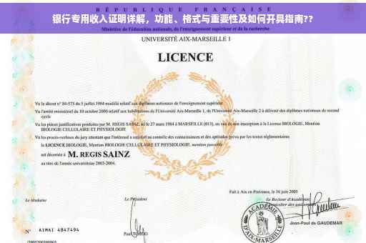 银行专用收入证明详解，功能、格式与重要性及如何开具指南??